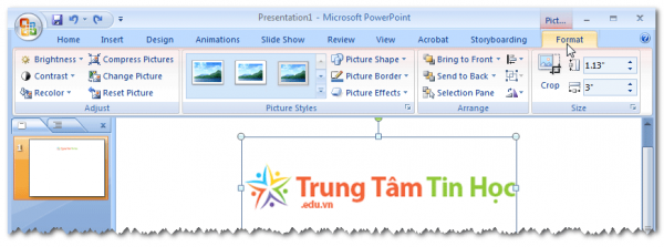 Các kiểu mẫu format đa dạng cho hình ảnh và văn bản