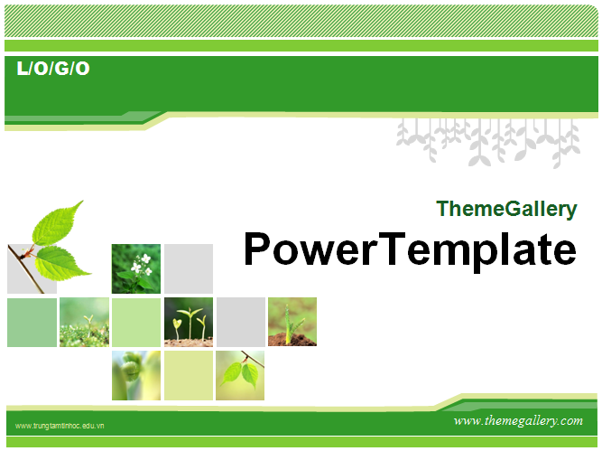 Theme Powerpoint co bieu do dep