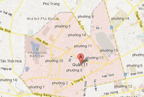 Trung tâm tin học ở Quận 11