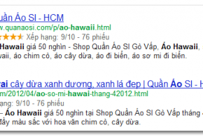 Tạo ngôi sao và LOGO trên Google dùng Rich Snippets