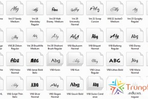 Download font chữ VNI-Times, VnTimes