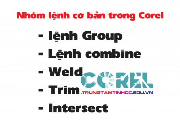 Nhóm lệnh cơ bản trong Corel