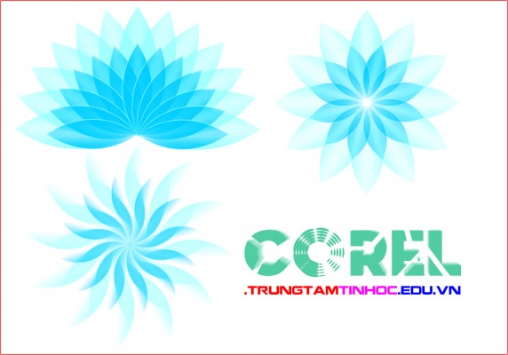 Cách vẽ hoa cực đẹp và đơn giản trong Corel